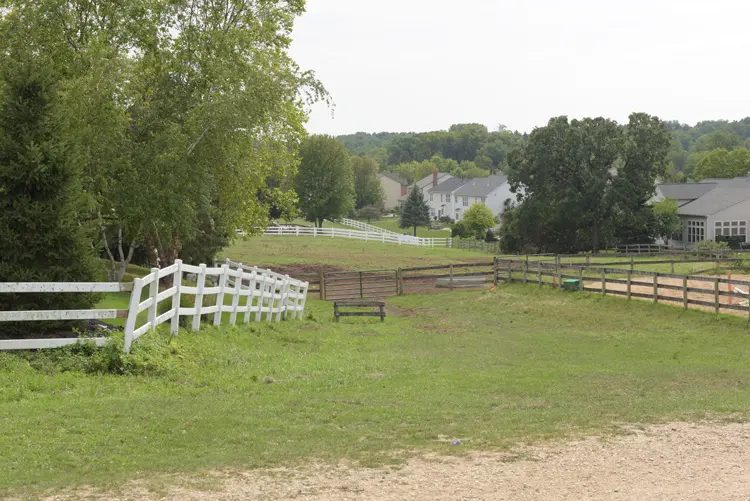 a fenced pasture with trees and houses