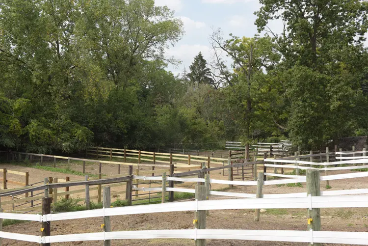 a fenced in area with trees