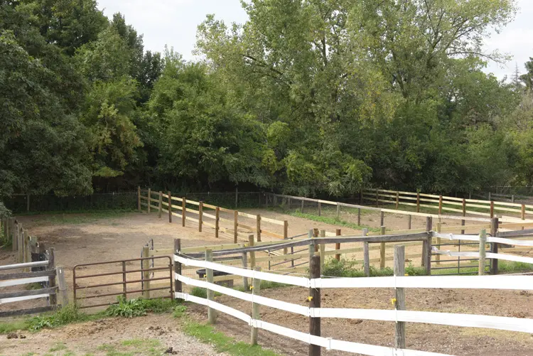 a horse corral with trees in the background