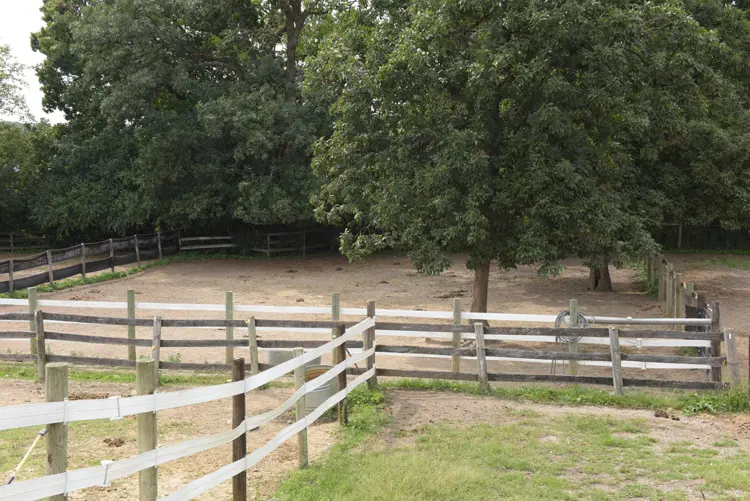 a fenced in area with trees