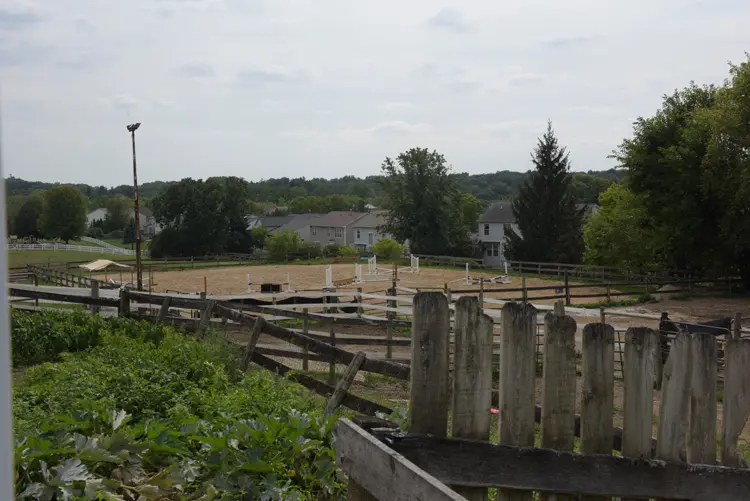 a fenced in area with trees and houses