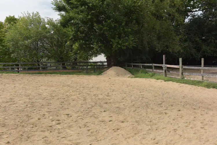 a dirt field with a tree in the background
