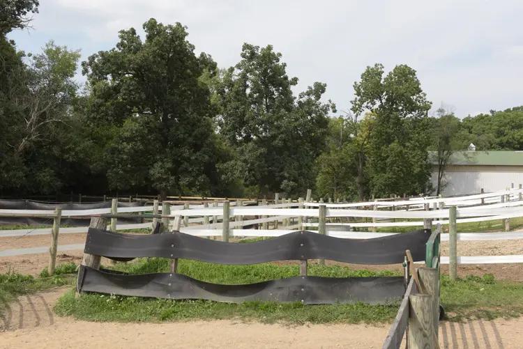 a fenced in field with trees in the background