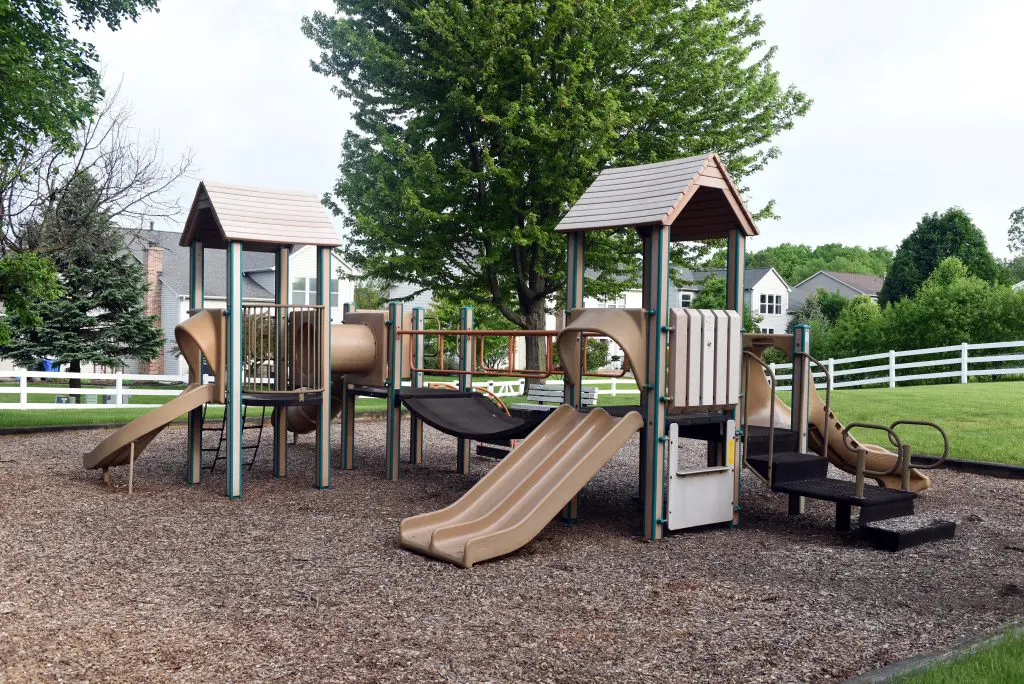 a playground with slide and a tree
