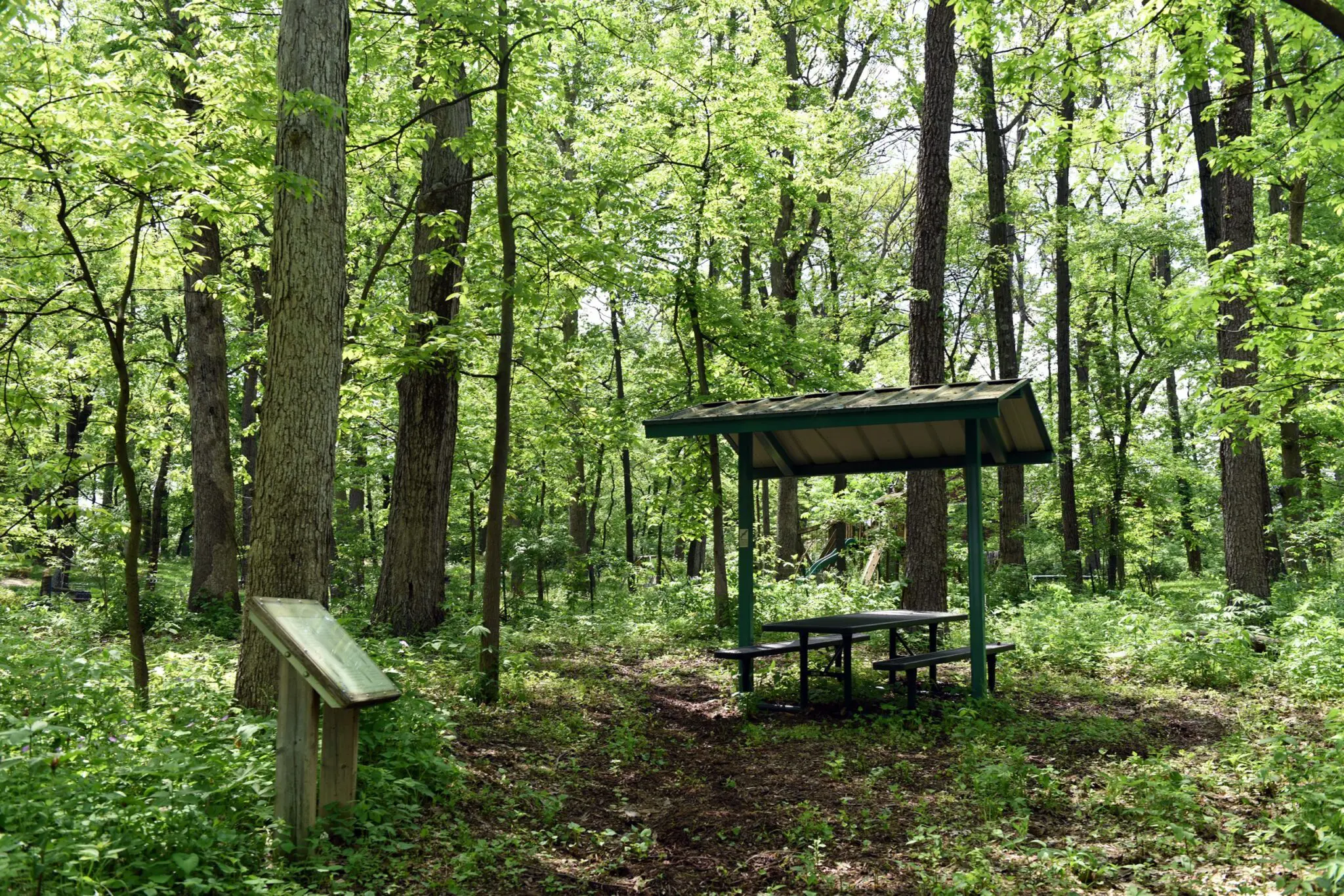 Marquette Woods Park