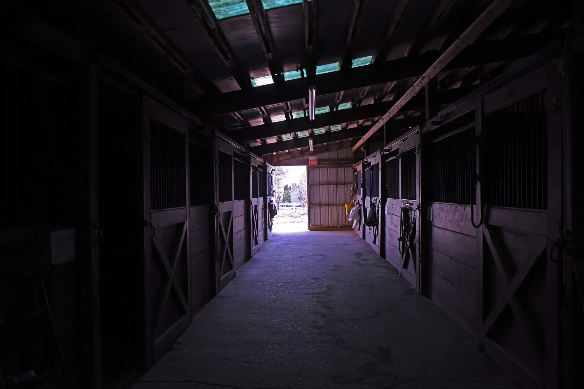 a dark hallway with horses in the stable
