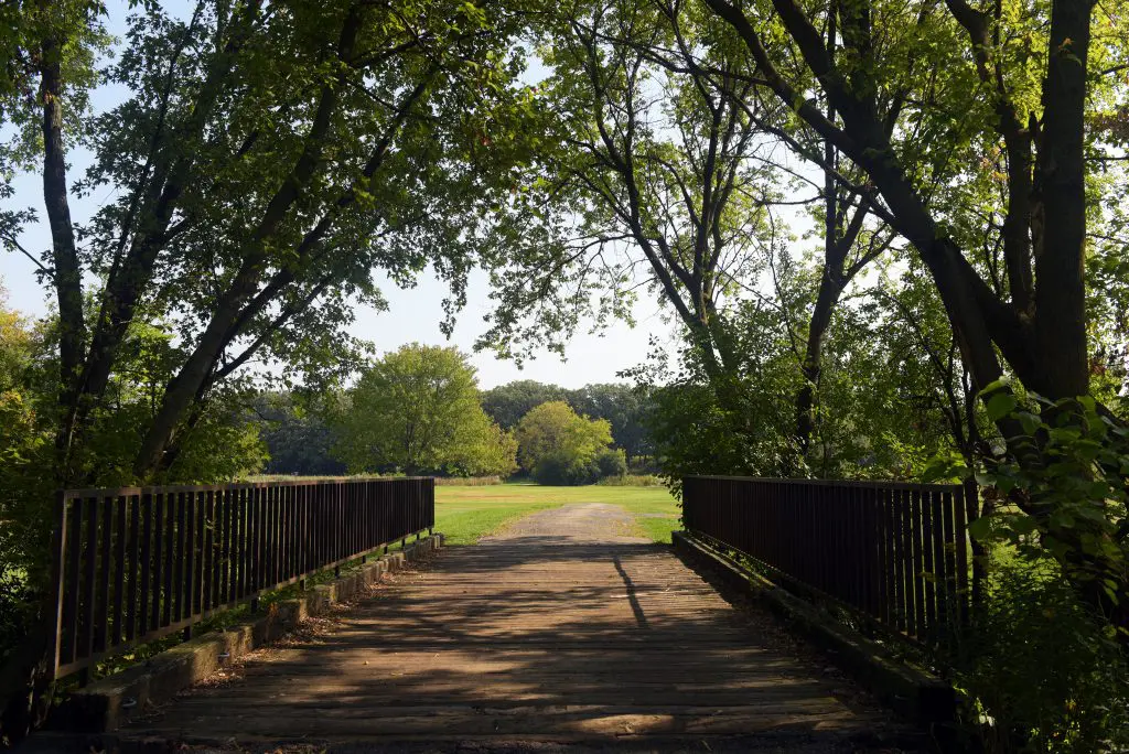 Shady Oaks Park Walking Path
