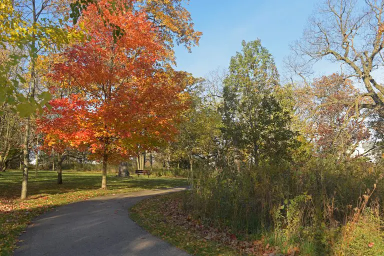 Sullivan Park