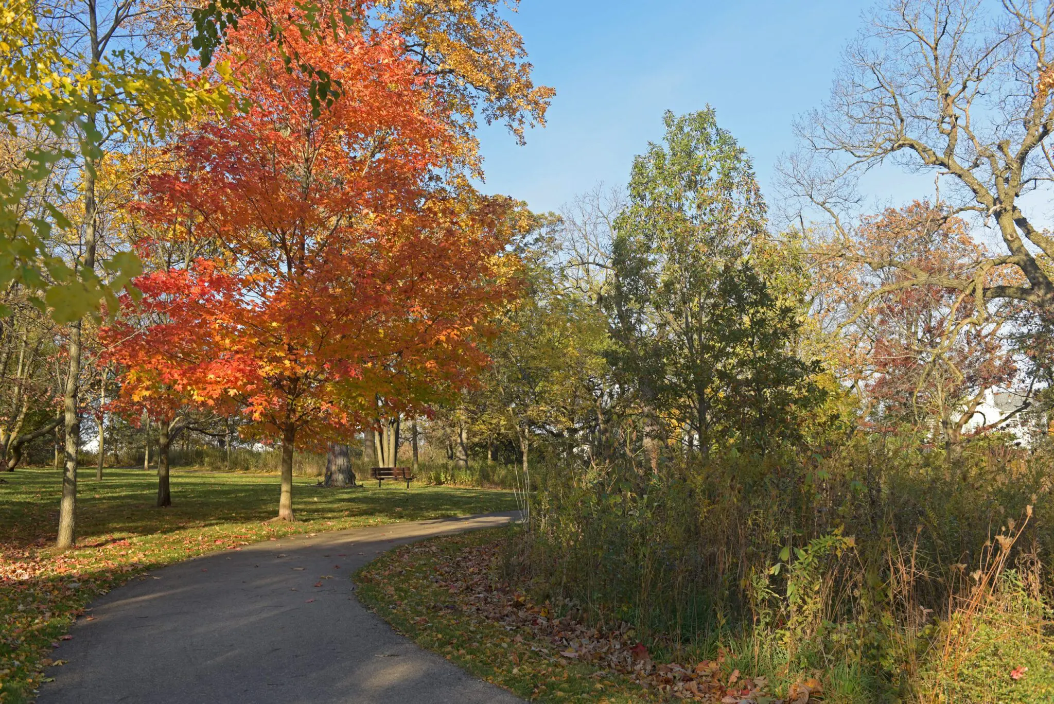 Sullivan Park